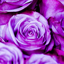 怎么简单攻击一个网站