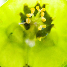 数字化转型必备的免费ddos压力测试平台